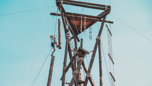 Pole Climb picture